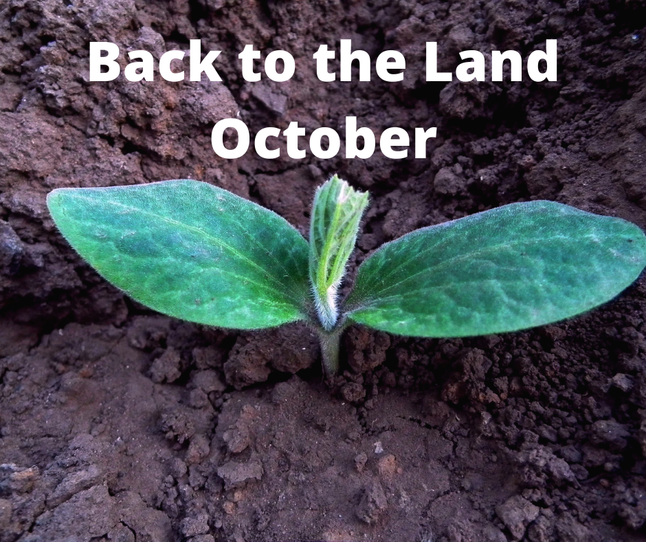 Back to the Land Project